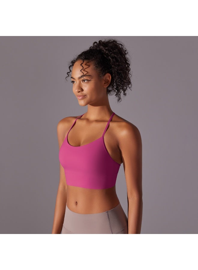 Seamless Yoga Bra Y-back Crop Tops Running Gym Sport Underwear Push Up Yoga Vest Shockproof Fitness Workout Bra - Image 4