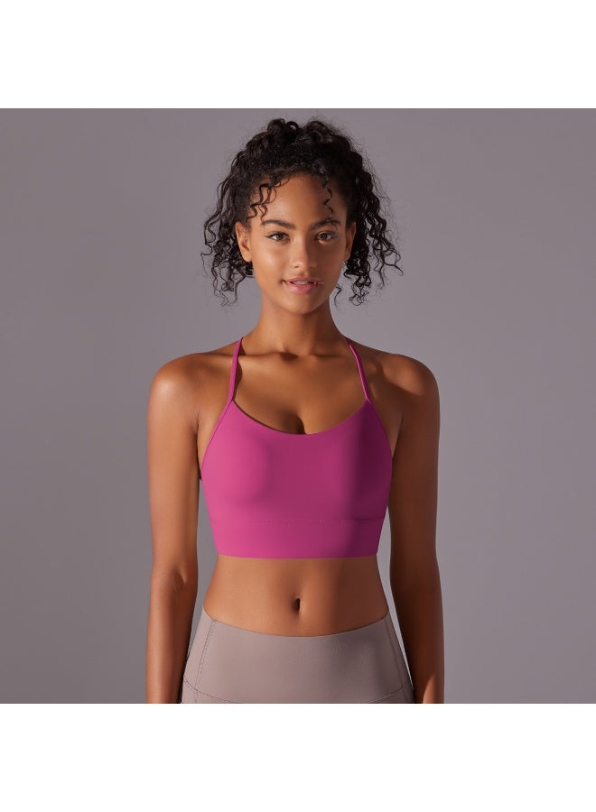 Seamless Yoga Bra Y-back Crop Tops Running Gym Sport Underwear Push Up Yoga Vest Shockproof Fitness Workout Bra - Image 2