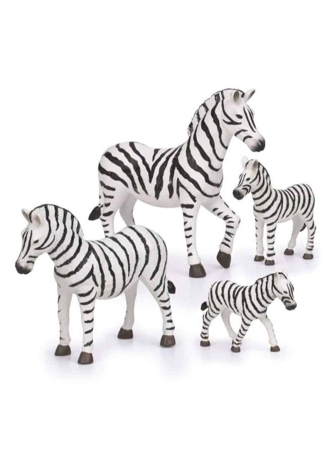 Terra ZEBRA FAMILY  - Image 2