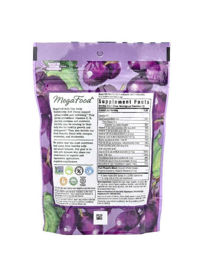 MegaFood - MegaFood, Kids One Daily, Multivitamin Soft Chews, Grape, 30 Individually Wrapped Soft Chews - Image 1