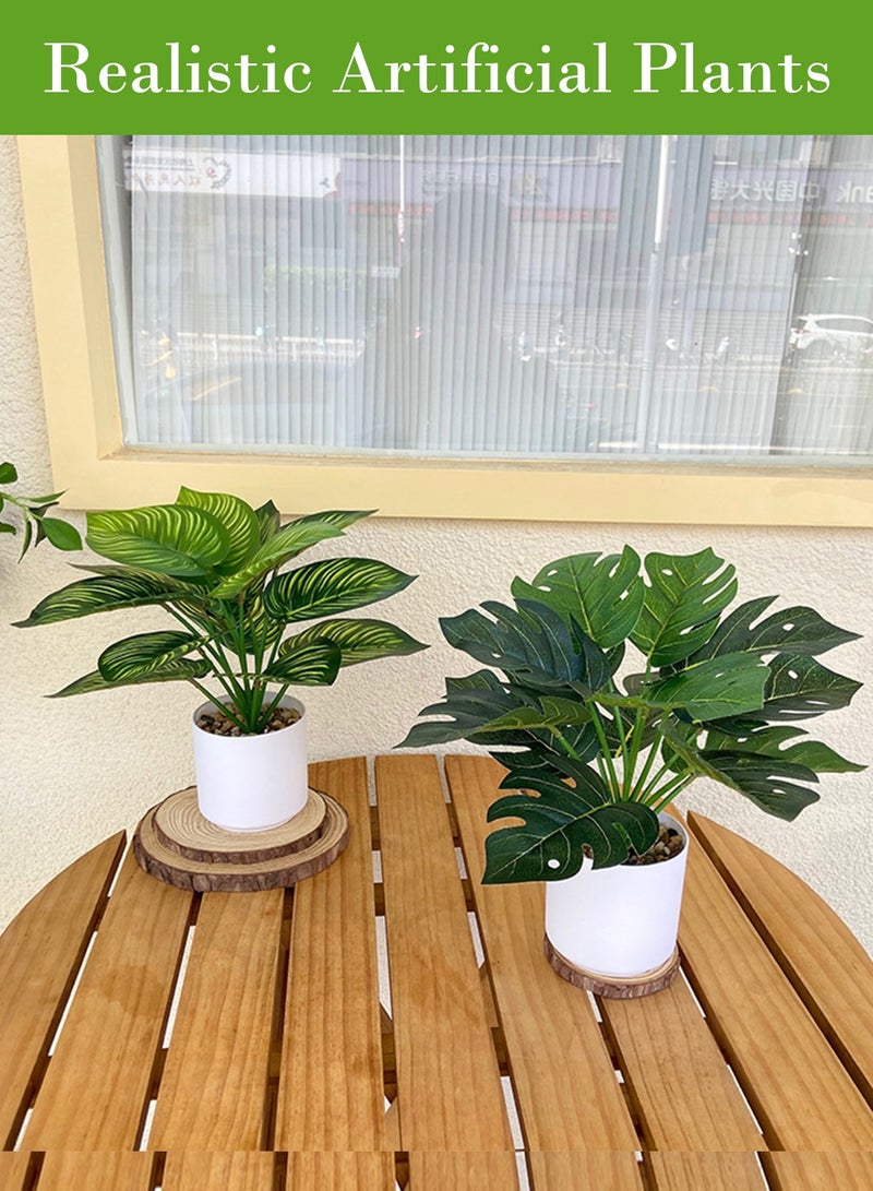 روعة النباتات الاصطناعية - Image 2