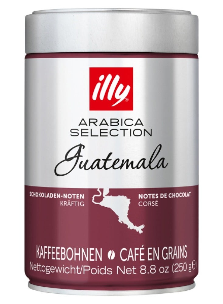 Illy Guatemala Arabica Coffee Beans - 250g  - Image 1