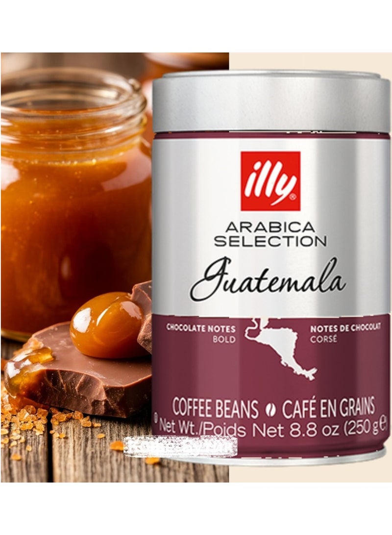Illy Guatemala Arabica Coffee Beans - 250g  - Image 4