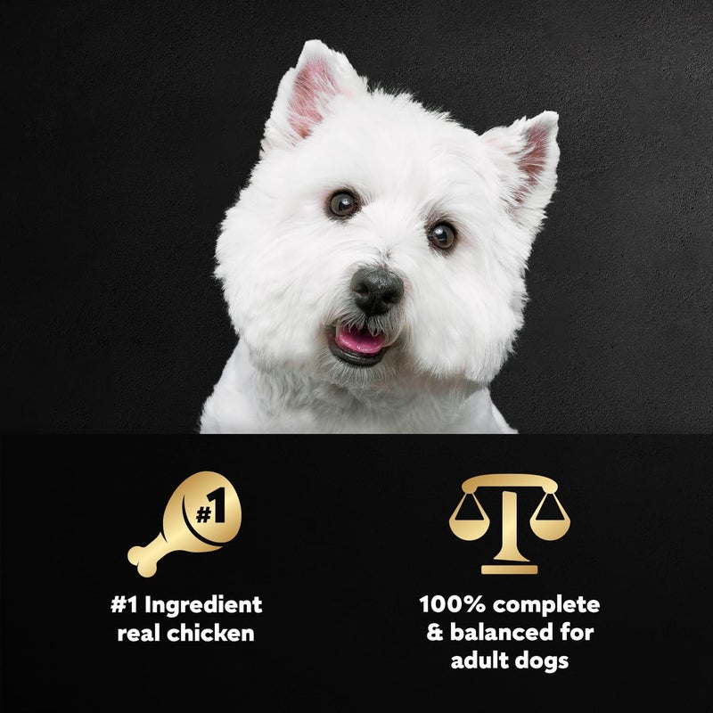 Cesar Wholesome Bowls Adult Wet Dog Food, Chicken, Recipe, Wet Food for Dogs, 3 Oz. Bowls, 10 Count - Image 2