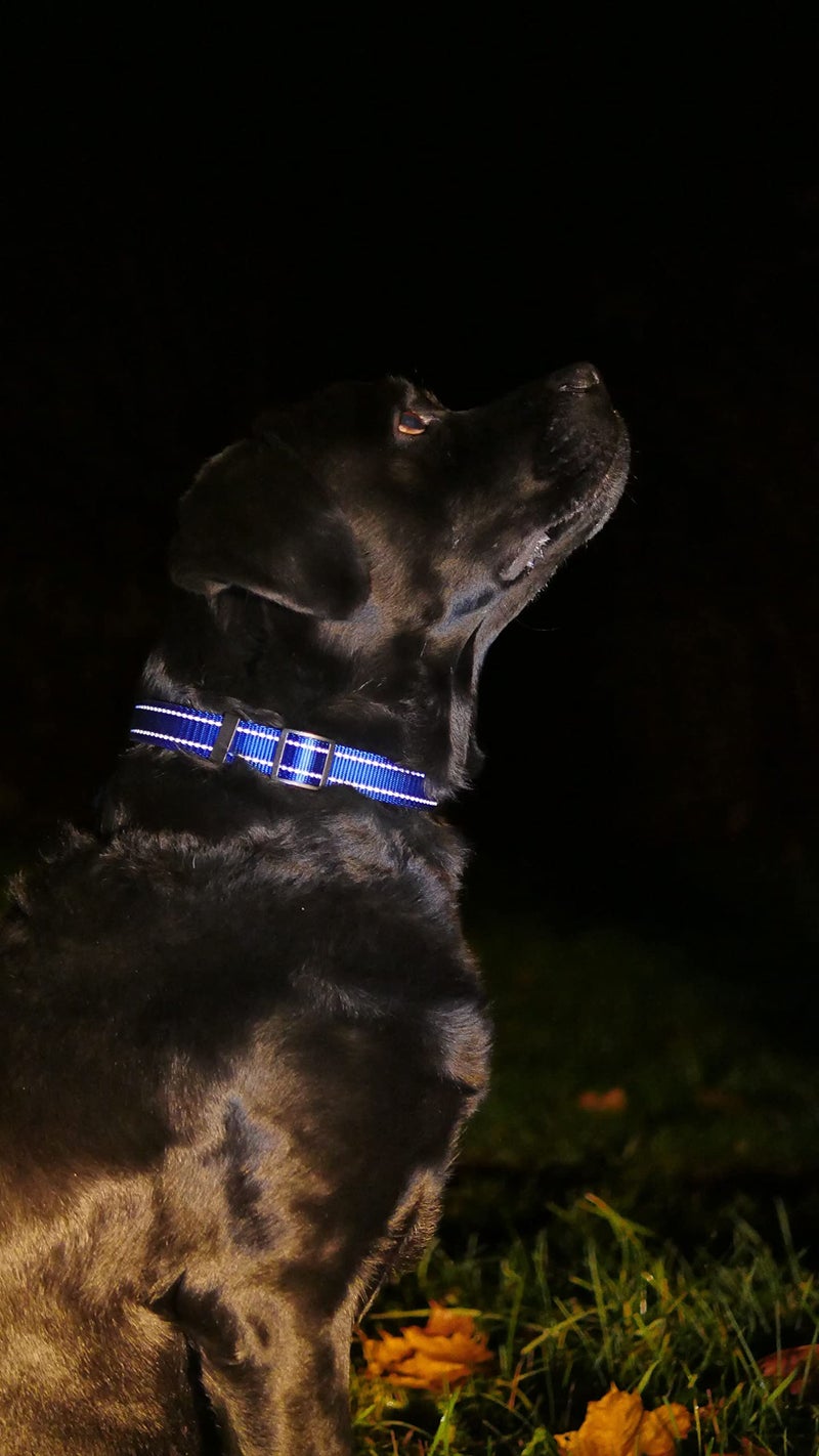 CollarDirect Reflective Dog Collar for a Small, Medium, Large Dog or Puppy with a Quick Release Buckle - Boy and Girl - Nylon Suitable for Swimming (12-16 Inch, Blue) - Image 2