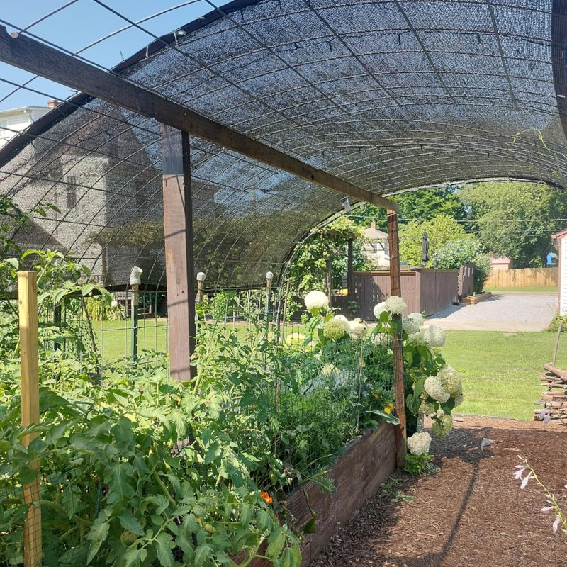 QLOFEI Shade Cloth for Garden Plants Greenhouse, 40-50% Sunblock Neting -for Outdoor Garden Lawn Plant Sun Shade Cloths for Kennel Chicken Coop Easier to Hang Net Cover - Image 4