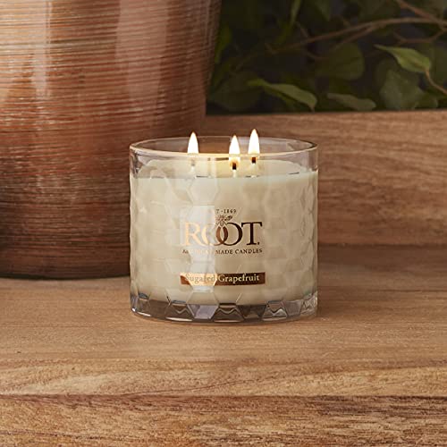 Root Candles Scented Candles Honeycomb Beeswax Blend Premium Handcrafted Candle, 12-Ounce 3-Wick, Sugared Grapefruit - Image 4