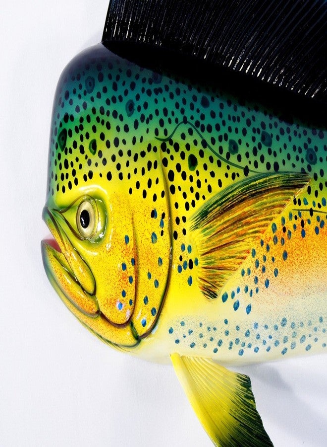 ال اكس لوحة جدارية مرسومة يدويًا بتصميم سمكة ماهي ماهي ودلفين أخضر مقاس 12 بوصة - Image 2