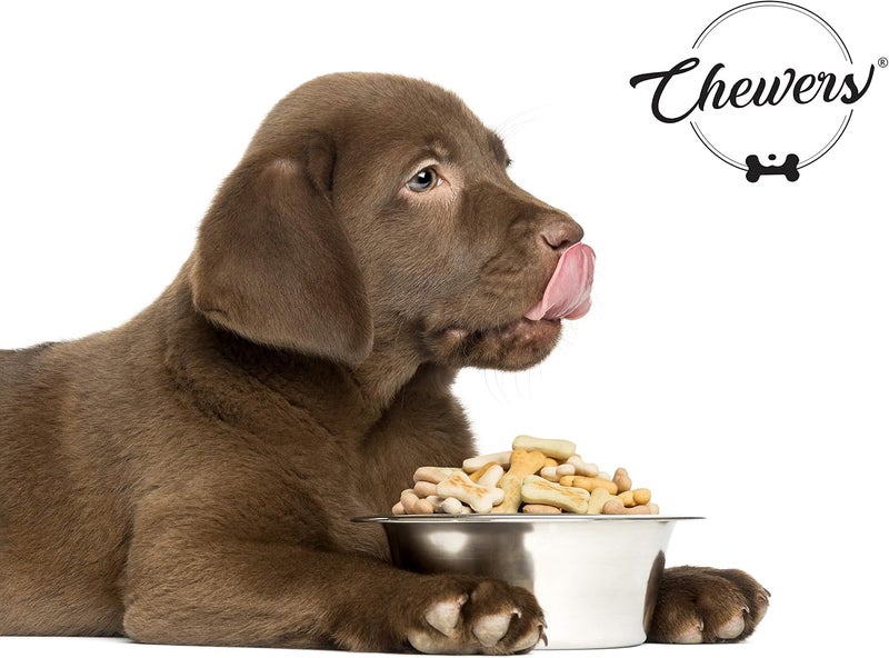 Chewers Oven Baked Real Banana & Egg Puppy Dog Biscuits, Protein Rich Dog Treat 1 Kg - Image 4