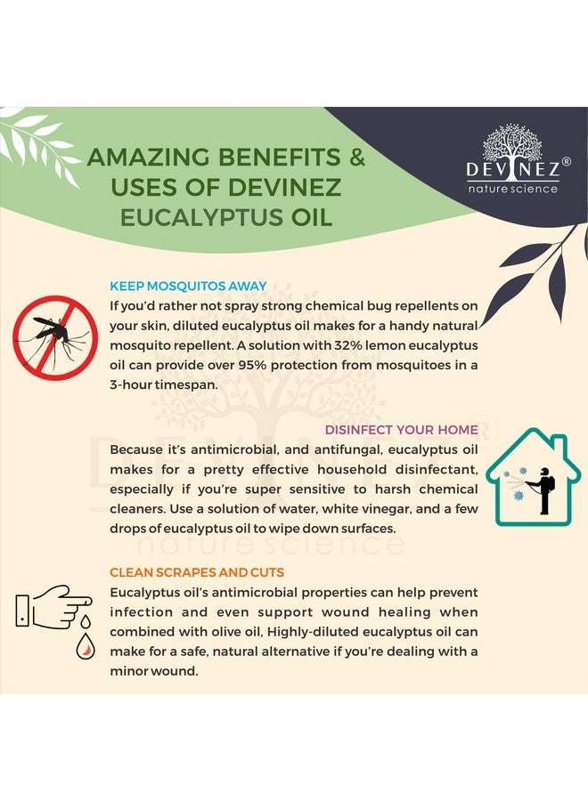ديفينيز زيت الأوكالبتوس/النيلجيري/أوتي العطري من ديفينيز - 50 مل، طبيعي 100% نقي وغير مخفف بدرجة علاجية في زجاجة زجاجية - مثالي للاستنشاق بالبخار والتدليك والعلاج بالروائح والاسترخاء - Image 5