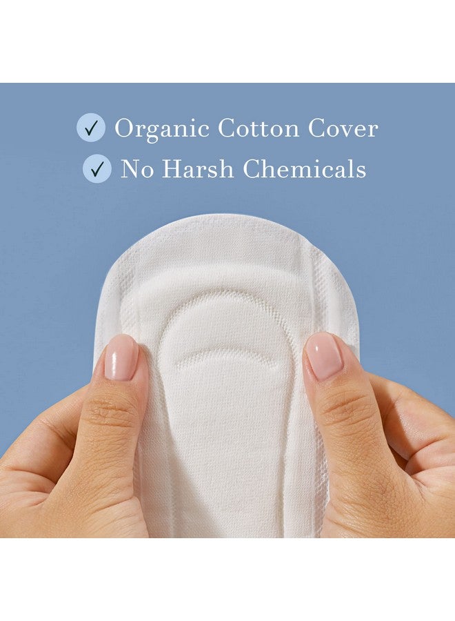 Rael Rael Incontinence Liners for Women, Organic Cotton Cover, Postpartum Essential, Moderate Absorbency, Bladder Control, 4-Layer Core with Leak Guard Technology (Regular, 48 Count)  - Image 3