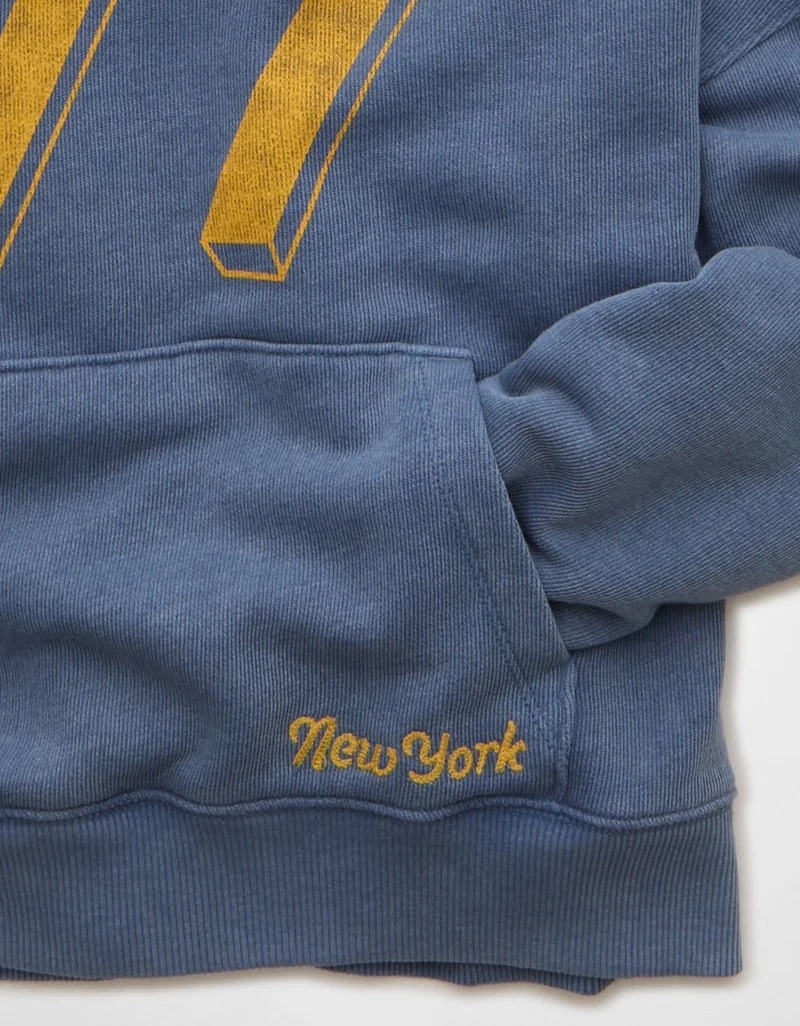 American Eagle  AE Campus Graphic Hoodie  | Best Price UAE