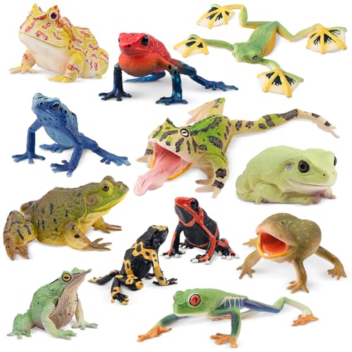 Toymany Frog Toy Figures Plastic Rainforest Woodland Animals Toy Frogs Set with Realistic Poison Dart Frog Cake Topper Party Favor Garden Flowerpot Plants Decor - Image 1