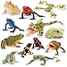 Toymany Frog Toy Figures Plastic Rainforest Woodland Animals Toy Frogs Set with Realistic Poison Dart Frog Cake Topper Party Favor Garden Flowerpot Plants Decor - Image 4