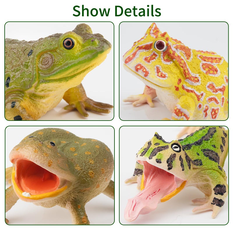 Toymany Frog Toy Figures Plastic Rainforest Woodland Animals Toy Frogs Set with Realistic Poison Dart Frog Cake Topper Party Favor Garden Flowerpot Plants Decor - Image 3