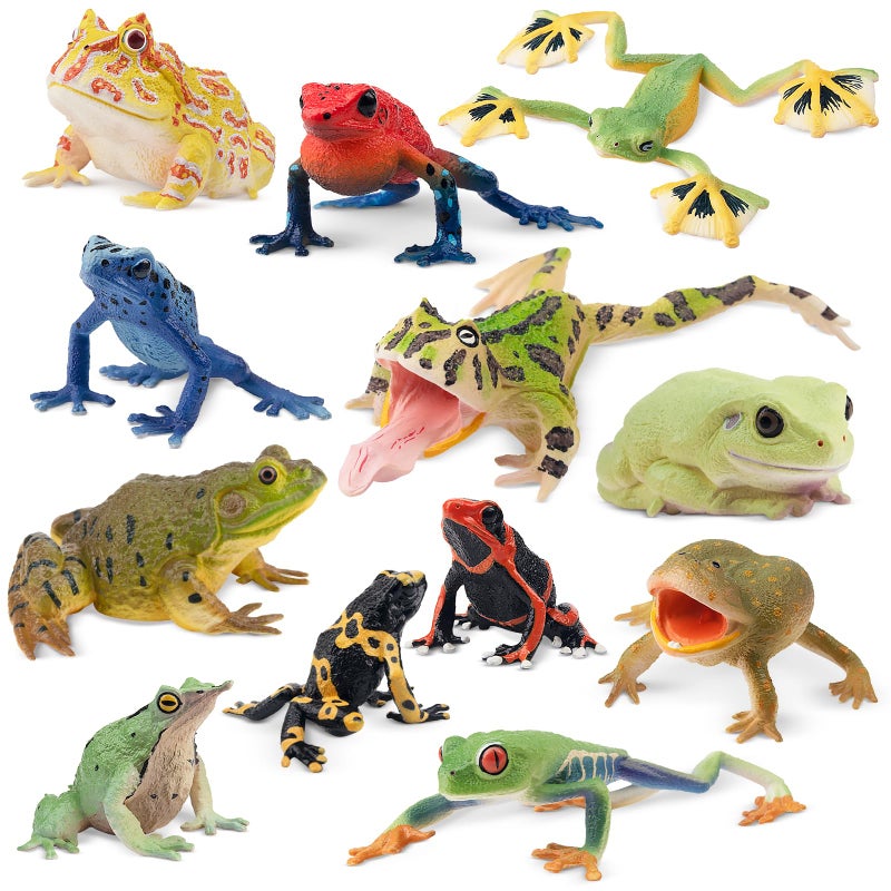 Toymany Frog Toy Figures Plastic Rainforest Woodland Animals Toy Frogs Set with Realistic Poison Dart Frog Cake Topper Party Favor Garden Flowerpot Plants Decor - Image 2