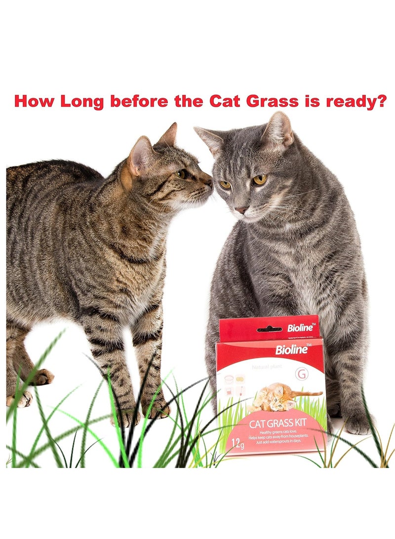 Bioline Cat Grass Kit Protect Stomach Health Of Cats 2X12g - Image 2