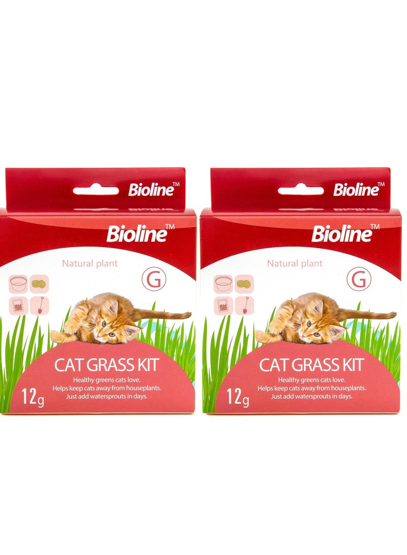 Bioline Cat Grass Kit Protect Stomach Health Of Cats 2X12g - Image 1