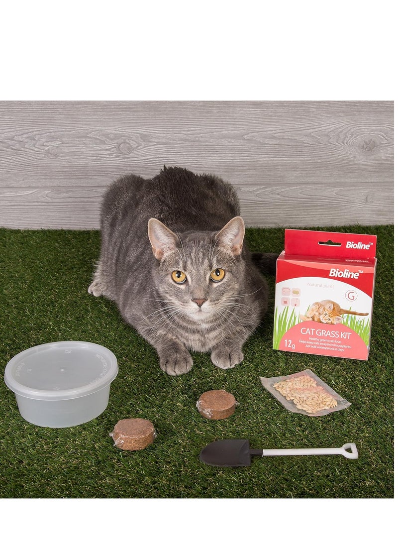Bioline Cat Grass Kit Protect Stomach Health Of Cats 2X12g - Image 3