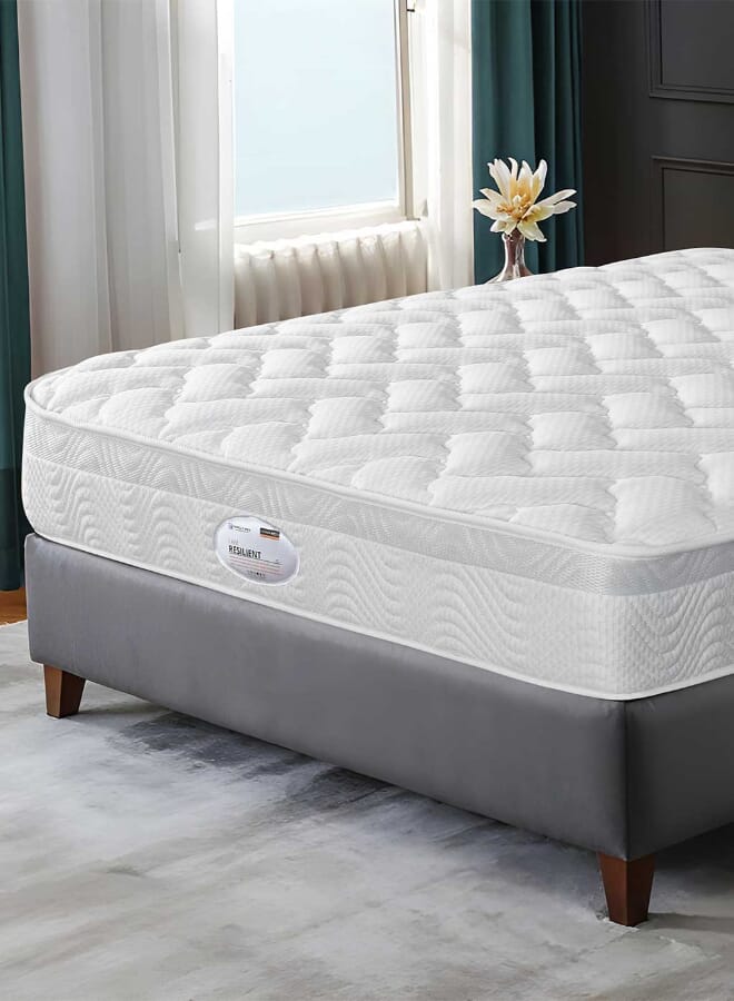 فاميلي بيد مرتبة كاتانيا سوست منفصلة مع ميموري ارتفاع 25 سم مقاس 150 × 195 سم من فاميلي بد - Image 1