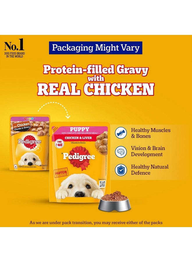 بيديجري طعام الكلاب الرطب من بيدجري بابي، قطع دجاج وكبد في مرق، 70 جم (عبوة من 30 قطعة)، مصنوع من لحوم حقيقية، وجبة كاملة ومتوازنة 100% للجراء - Image 2