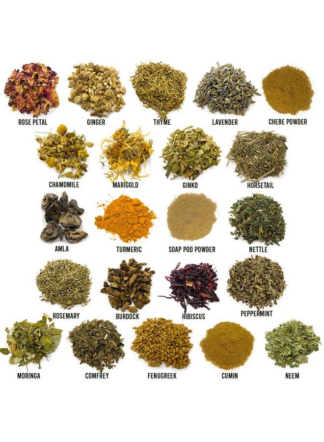 Well's Oil شاي الأعشاب من ويل 22 نوعًا لشطف الشعر لنمو الشعر وتجديده الطبيعي وفروة الرأس الصحية وتكييف الشعر - شاي أعشاب للتسريب في الماء أو الزيت 4 أونصات - Image 4