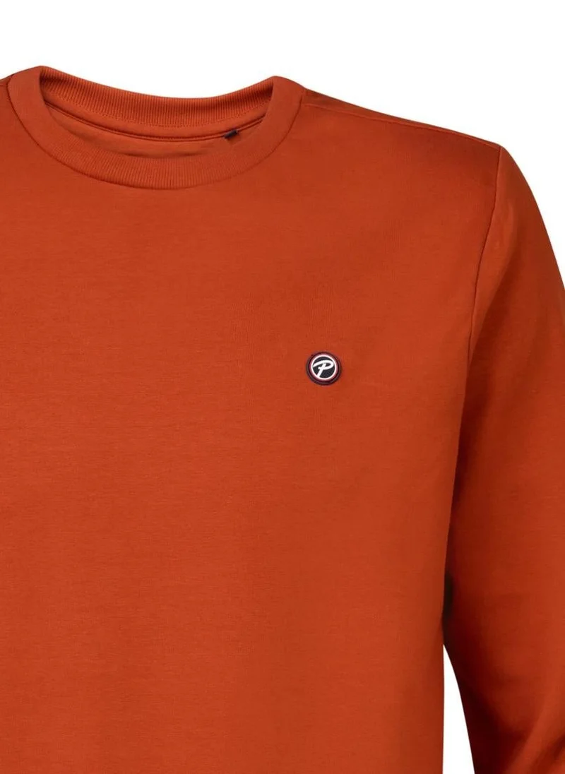 Petrol Industries Men Sweater Round Neck