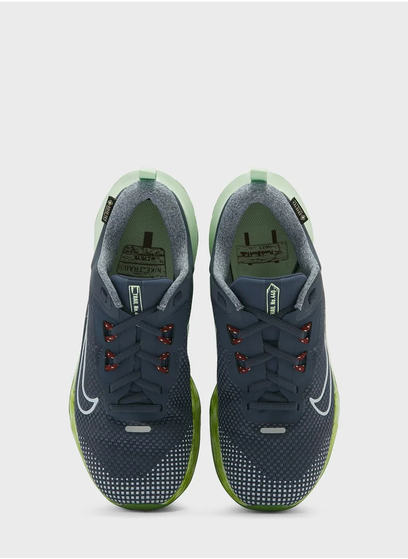 Nike Juniper Trail 2 Gtx