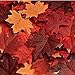 EchoDone EchoDone 600PCS Artificial Maple Leaves Decorations Autumn Fall Leaves for Thanksgiving Autumn Leaf Wedding Party  - Image 2