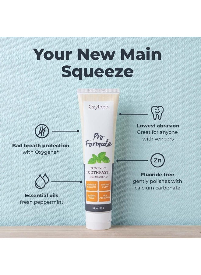 Oxyfresh Pro Formula Fresh Mint Toothpaste Gentle Low Abrasion Cosmetic Fluoride Free Formula Great for Sensitive Teeth and Gums with Natural Essential Oils 55 oz - Image 2