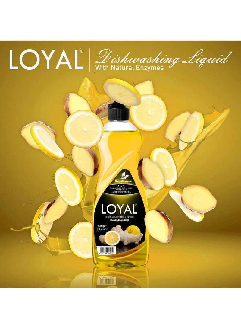 loyal 5 In 1 Dishwashing Liquid With Ginger & Lemon Fragrance 700ml - Image 2