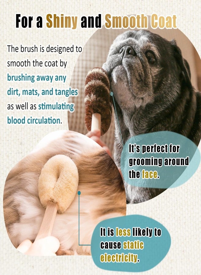 Wablade Natural Tawashi Dog Grooming & Massage Brush – Made in Japan, Gentle Palm Fiber Brush for Dogs, Relaxing Skin Stimulation, Low Static, Wooden Handle, Daily Dog Care Tool (Small Dog A) - Image 3