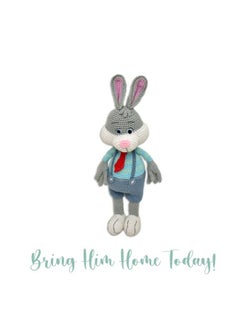 Happy Threads Happy Threads |Jasper |Bunny| for Girls & Boys |Soft Toys |38cms | Rabbit Toy| Gifting Material | Crochet Toys | BIS Certified  - Image 5