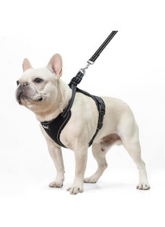 PUPTECK PUPTECK Dog Harness and Leash Set for Small Medium Sized Dogs, No Pull Dog Harness for Walking Training, Adjustable Reflective Puppy French Bulldog Frenchie Harness Soft Padded Vest, Black, L  - Image 1