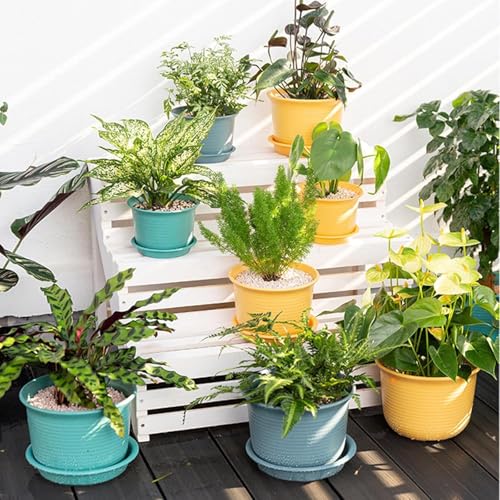 INKULTURE 10 Inch Plastic Round Flower Pots with Tray for Home Planters, Terrace, Garden Etc | Pack of 05 | Multicolor | for Home Indoor & Outdoor Gardening Plants - Image 5