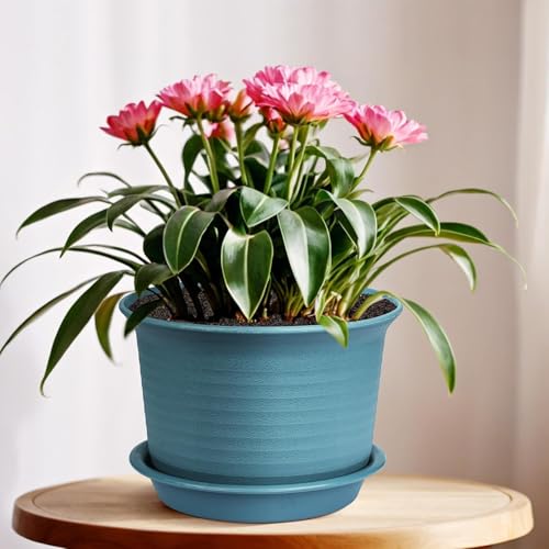 INKULTURE 10 Inch Plastic Round Flower Pots with Tray for Home Planters, Terrace, Garden Etc | Pack of 05 | Multicolor | for Home Indoor & Outdoor Gardening Plants - Image 4