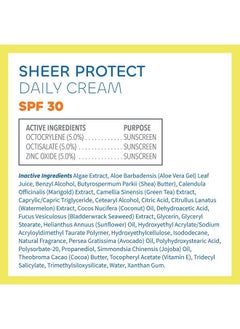 The Seaweed Bath Co. شركة Seaweed Bath Co. Sheer Protect Daily Spf 30 كريم واقي من الشمس هجين واسع الطيف 3.4 أونصة من الأعشاب البحرية المحصودة بشكل مستدام والشاي الأخضر  - Image 4