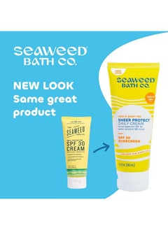 The Seaweed Bath Co. شركة Seaweed Bath Co. Sheer Protect Daily Spf 30 كريم واقي من الشمس هجين واسع الطيف 3.4 أونصة من الأعشاب البحرية المحصودة بشكل مستدام والشاي الأخضر  - Image 3
