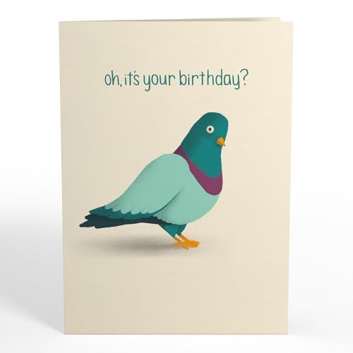 Lovepop Birthday Pop-Up Card for Her and Him - 3D Greeting Cards for Boys, Girls, Men, Women - ‘That’s Coo’ Funny Pigeon - 5" x 7" Card - Blank Notecard and Envelope Included - Image 4