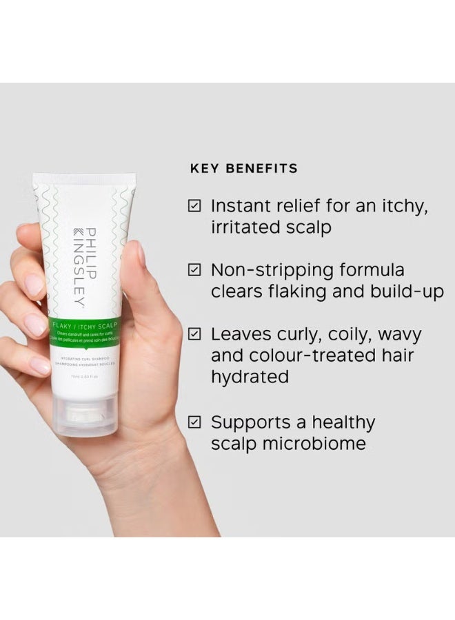 فيليب كينجزلي شامبو فيليب كينغسلي المرطب لفروة الرأس المتقشرة/الحكة، مضاد للقشرة، 500 مل - Image 2