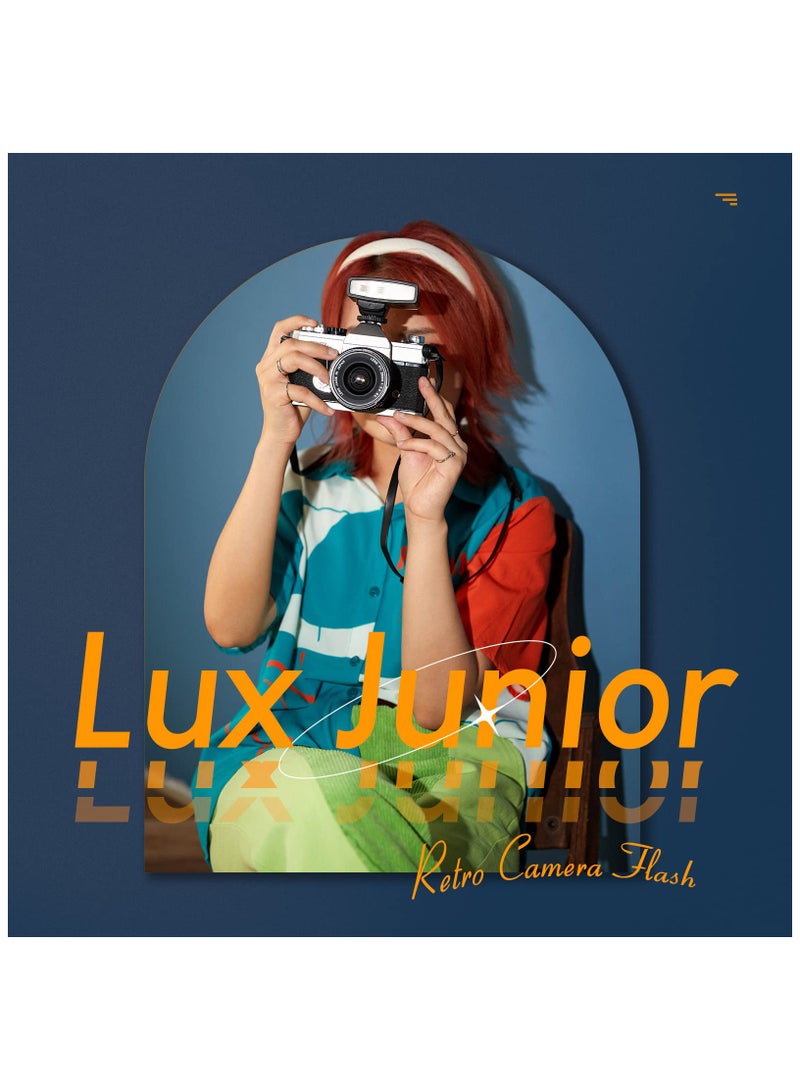 Zikra Retro Camera Flash, 6000K±200K On-Camera Flash, 7 Levels Flash Power Retro Camera Speedlite, Support Auto & Manual Modes, Compatible with Canon Nikon Sony Fuji Olympus Hot-Shoe Cameras - Image 5