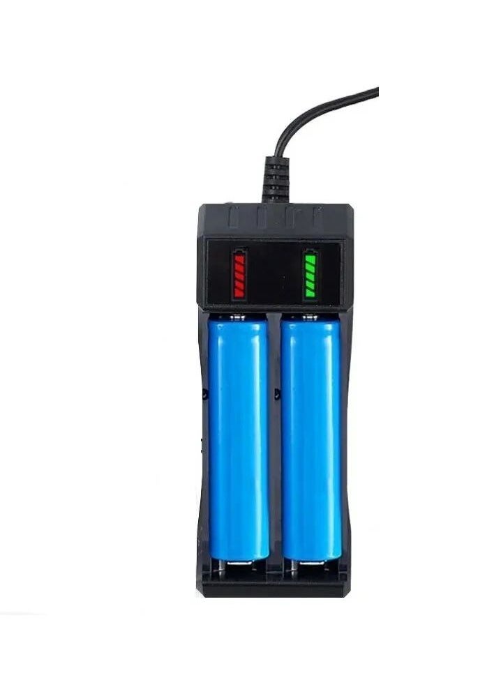 Dual USB Multi-size Battery Charger Small Battery Charger with USB Port - Image 1
