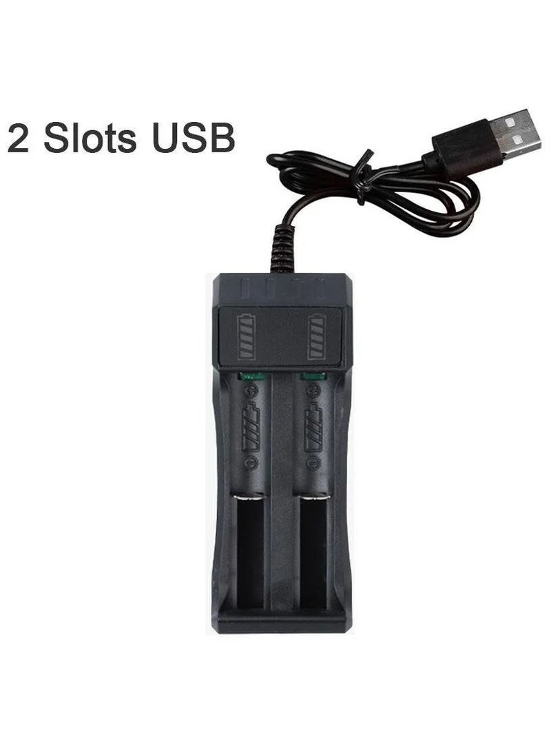 Dual USB Multi-size Battery Charger Small Battery Charger with USB Port - Image 3