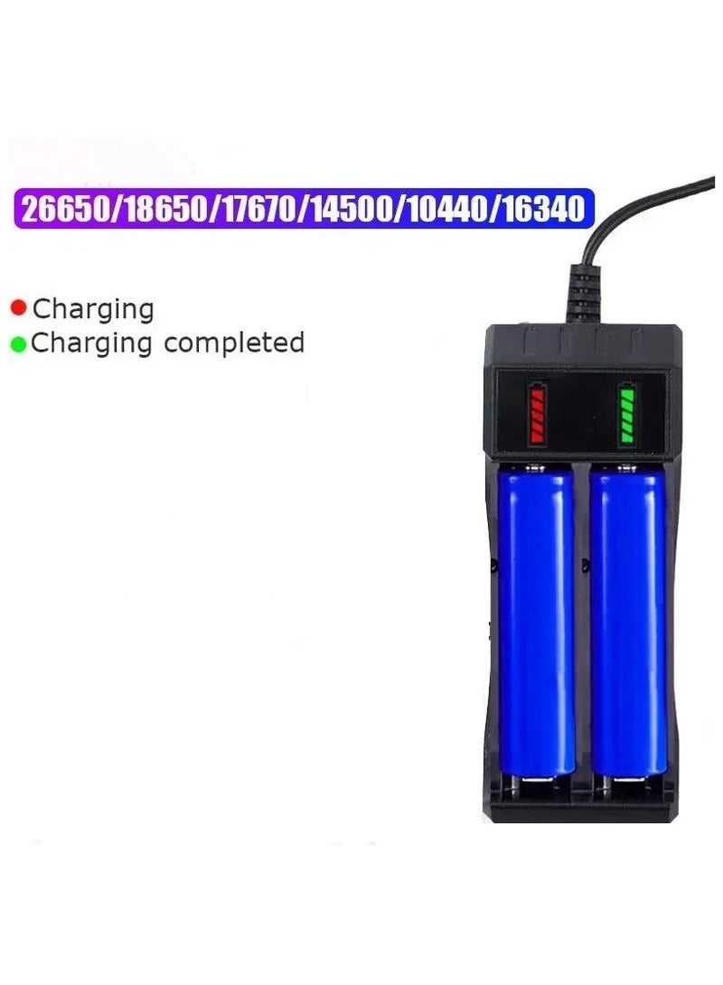 Dual USB Multi-size Battery Charger Small Battery Charger with USB Port - Image 2