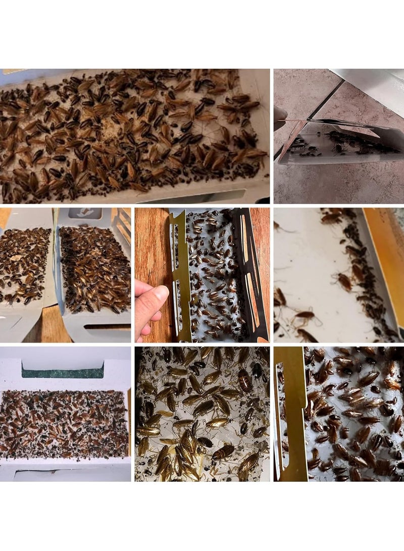 Generic Cockroach Killer Bait & Traps - Indoor Roach Infestation Control, Eco-Friendly, Safe for Children & Pets, Long-Lasting Roach Motel Traps (10 Pack)  - Image 2