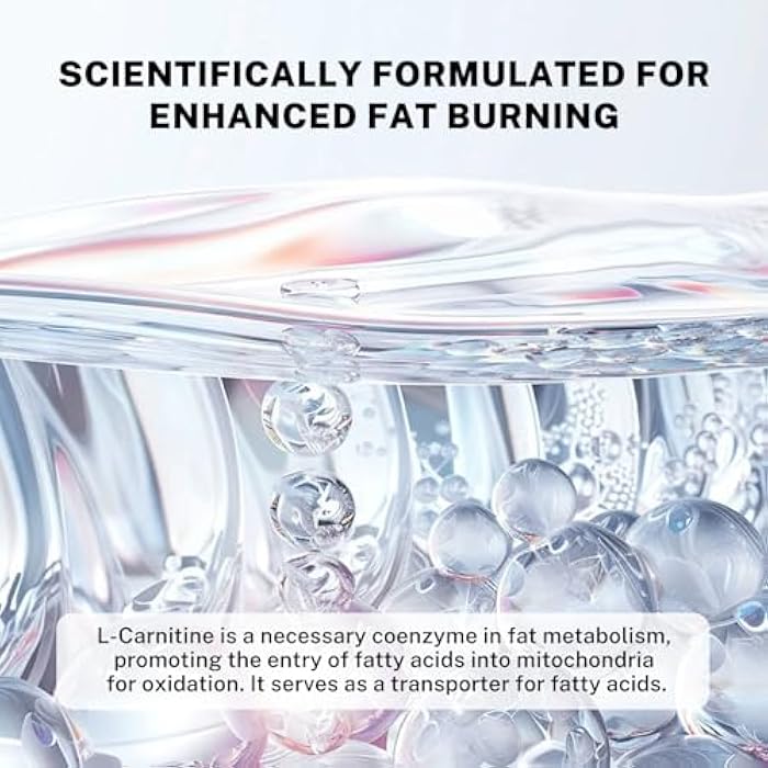 DrBioCare L-Carnitine Probiotics Supplement, Contains L-Carnitine, Probiotics, Green Coffee Powder, Yerha Mate Extract, Garcinia Cambogia Extract, Vitamin B Complex, Vitamin A, Vitamin C 60 Capsules - Image 4