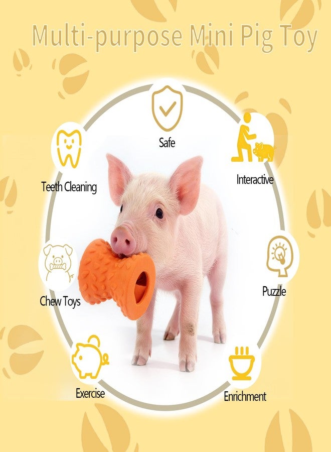 OOXYG Treat Dispensing Ball for Pigs, Pig Enrichment Toys Food Dispenser for Mini Pigs, Slow Feeder Training Toy Pet Interactive Foraging & Rooting Toys for Pigs to Play with - Image 4