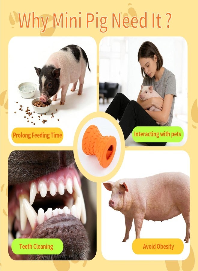 OOXYG Treat Dispensing Ball for Pigs, Pig Enrichment Toys Food Dispenser for Mini Pigs, Slow Feeder Training Toy Pet Interactive Foraging & Rooting Toys for Pigs to Play with - Image 3