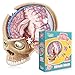 Genius Games Human Brain Floor Puzzle Doctor Livingston Jr Anatomy Model 100 Piece Jigsaw Puzzle Kids Puzzle and STEM Game About Brain Medically Accurate Science Toys for Kids Toddlers Teens - Image 2