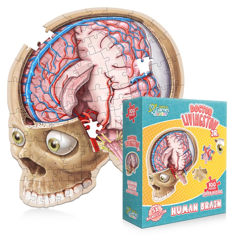 Genius Games Human Brain Floor Puzzle Doctor Livingston Jr Anatomy Model 100 Piece Jigsaw Puzzle Kids Puzzle and STEM Game About Brain Medically Accurate Science Toys for Kids Toddlers Teens - Image 3